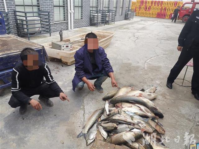 非法捕捞野生鱼类100多公斤，枝江两男子被抓获