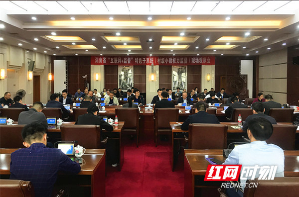 湖南省“互联网+监督”特色子系统  （村级小微权力监督）现场观摩会召开