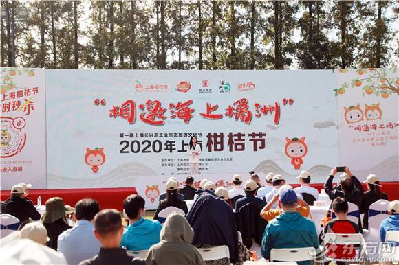 赏长兴秋景品前卫蜜桔 2020年上海柑桔节精彩启幕