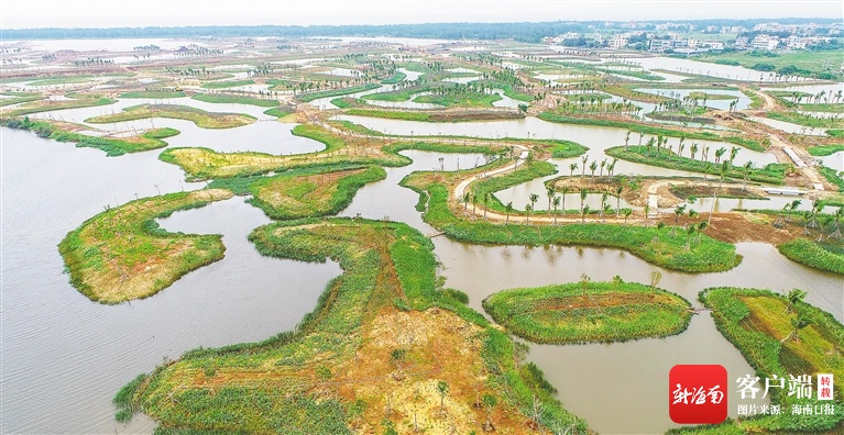 海口江东新区生态修复项目计划年底完工