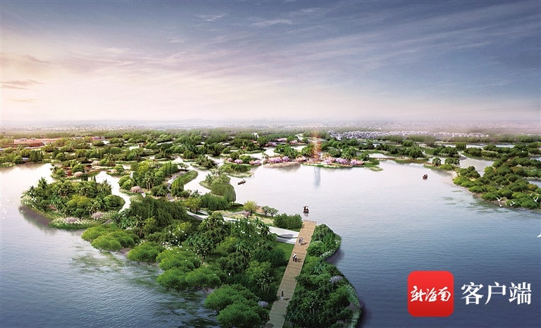 2200多亩树岛即将建成！海口江东新区生态修复项目年底完工