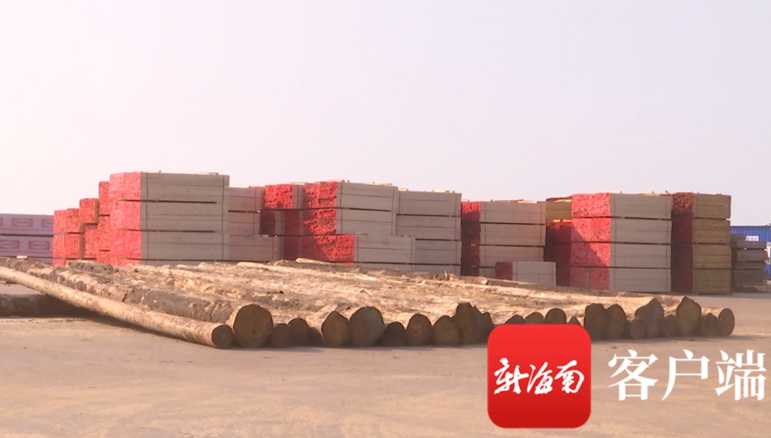 洋浦：海南中顺国际木材产业园将打造全省首家大宗进口木材产品交易集散地