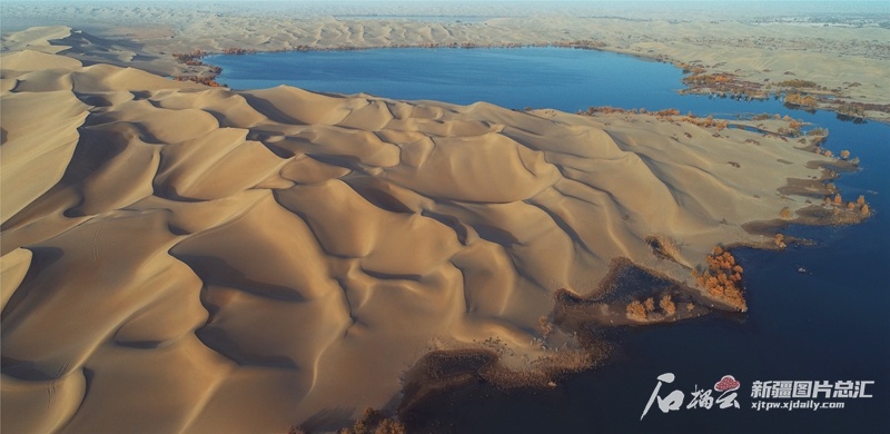 新疆沙漠游风生水起