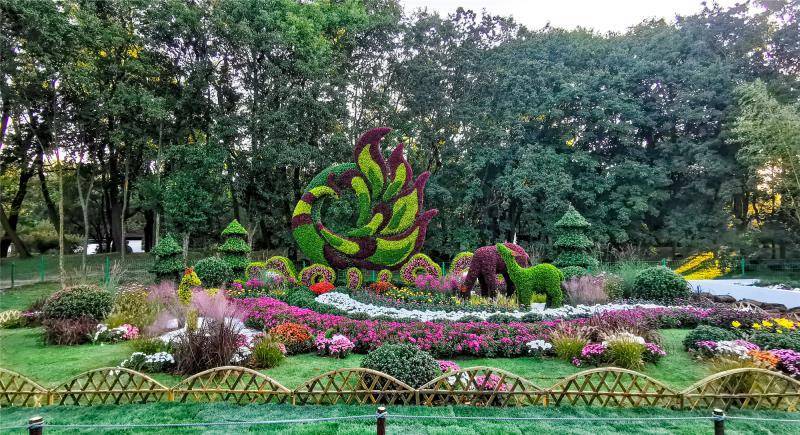 上海菊花展展期过半吸引游客19.85万人次 这周还有更精彩的活动