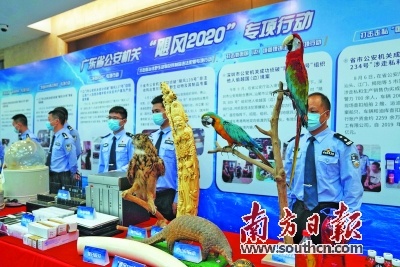广东前10月打掉犯罪团伙2500余个 加大涉疫经济、偷渡及野生动物犯罪打击力度