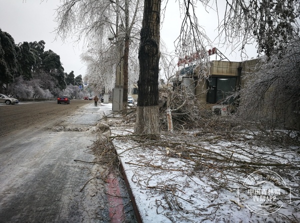 雨雪速报丨截至19日8时吉林省平均降水量33.4毫米