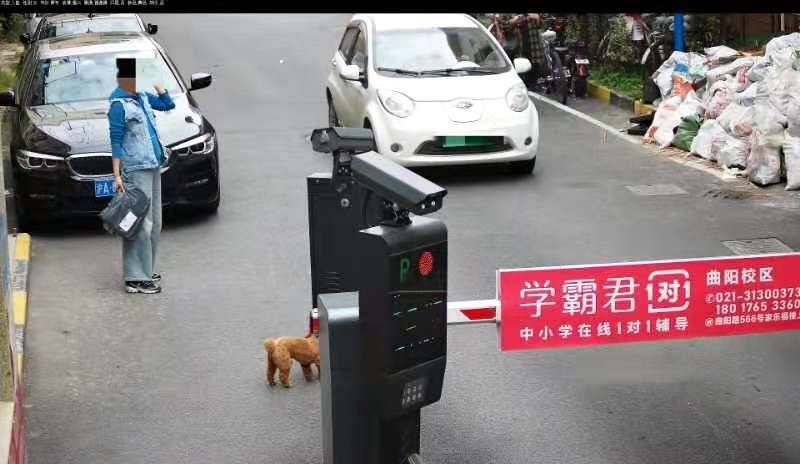 遛狗不牵绳可能会被拍、被罚 上海出台智能系统整治不文明养犬