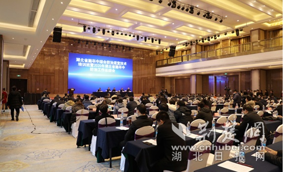 2020年湖北省脑卒中防治工作总结会在汉召开