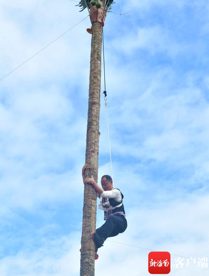 海南style！三亚这个爬椰子树比赛 选手们各个身手矫健