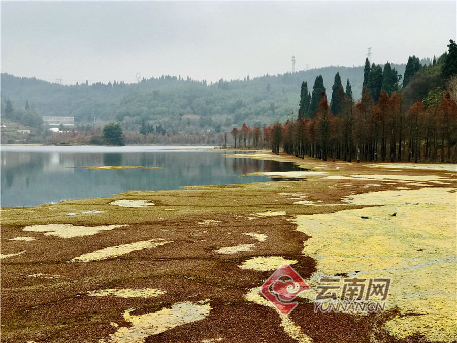 昆明西山区三家村水库冬色