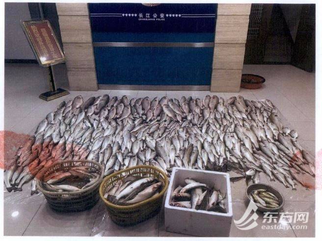 长江禁渔期内非法捕捞水产品400余公斤，三渔民被提起公诉