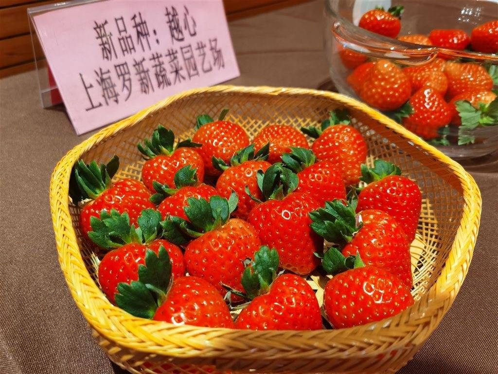 上海产草莓大比拼:这家三连冠企业“凡尔赛”了