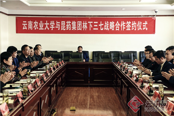 昆药集团与云南农业大学、澜沧田丰林下三七项目战略合作正式签约
