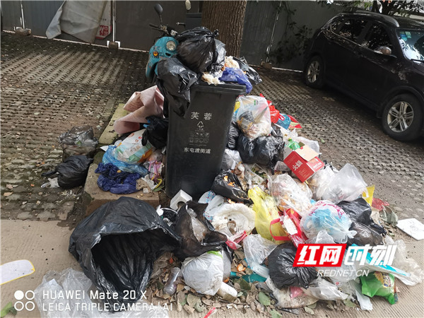 红网调查：长沙新世纪家园垃圾成山！社区表态尽快处理