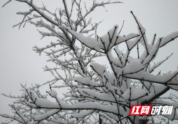 组图｜湖南多地已查收2021年第一场雪
