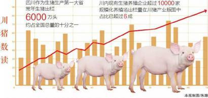 生猪期货今日上市：两家川企入局 增强了川猪议价能力