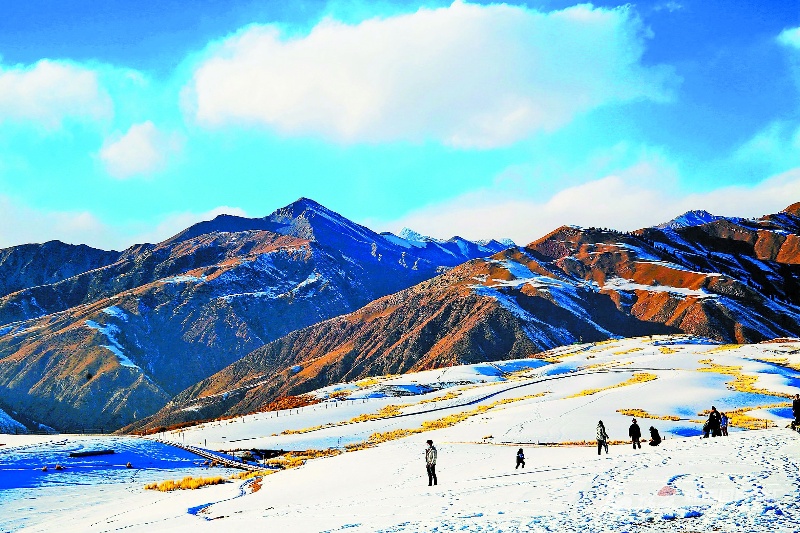 【新疆是个好地方】帕克勒克草原冬景
