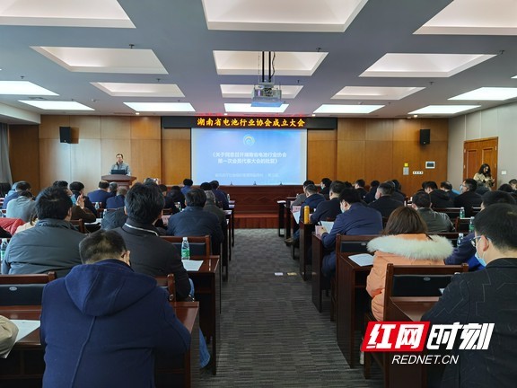 湖南省电池行业协会正式成立