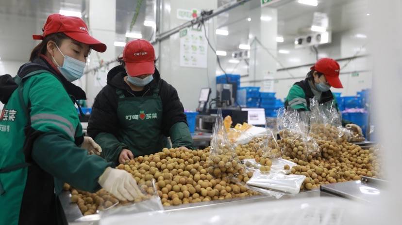 8成小哥留沪、蔬菜日供六千吨……上海春节期间蔬菜量足价稳