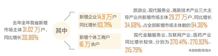 去年海南新增市场主体超31万户 同比增长30.86%
