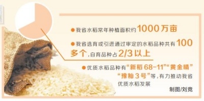 中国种 河南芯丨下一个“原阳大米”在哪儿