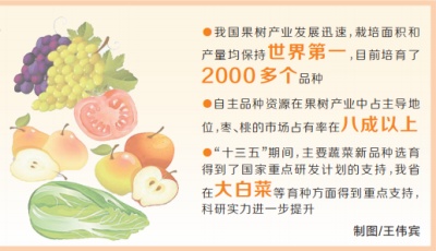 中国种 河南芯丨果蔬育种呼唤“优特新”