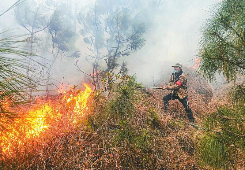 森林眼 蓄水池 防火道 防火码——“互联网＋”助力防控森林火灾