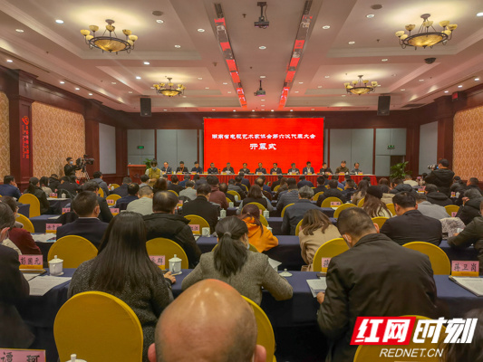 湖南省电视艺术家协会召开第六次代表大会  张华立当选新一届理事会主席