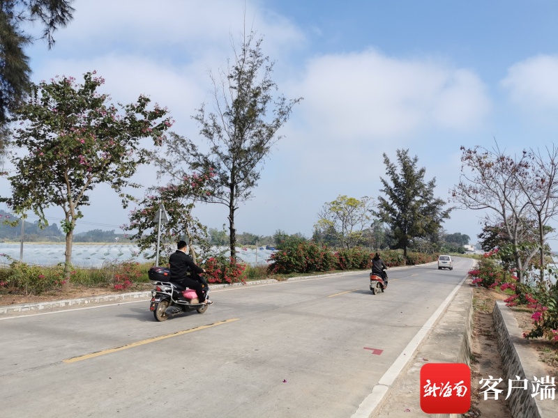 昌江推进“四好农村路”建设 一条14.2公里长的乡村公路，让8088名群众受益