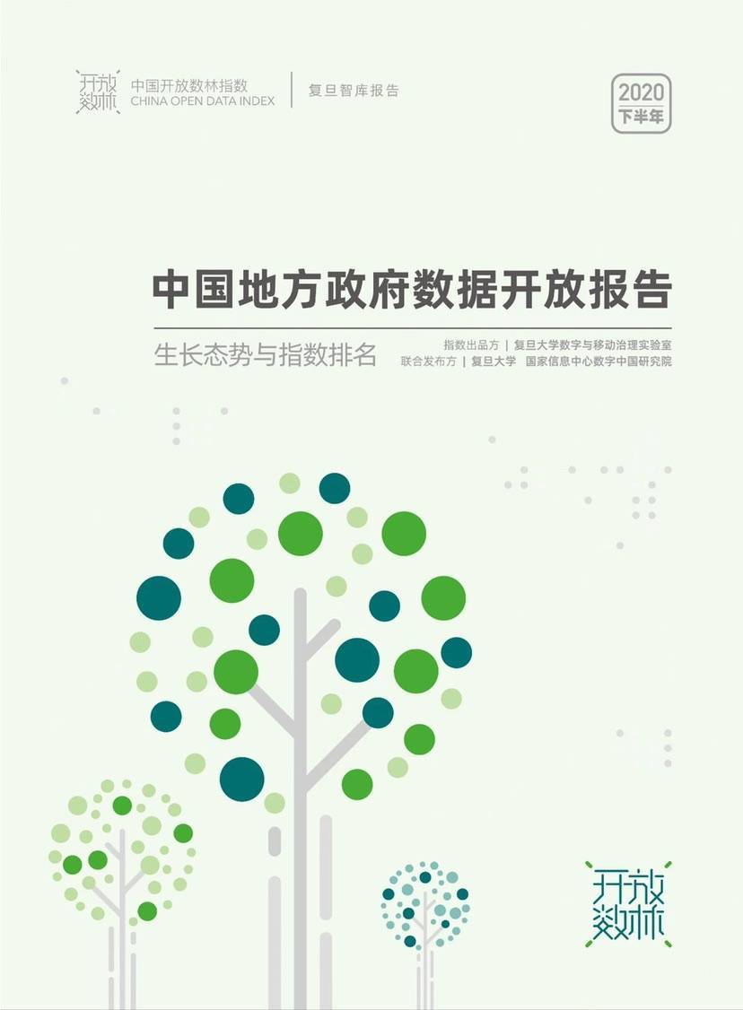 “2020下半年中国开放数林指数”发布 142个政府上线数据