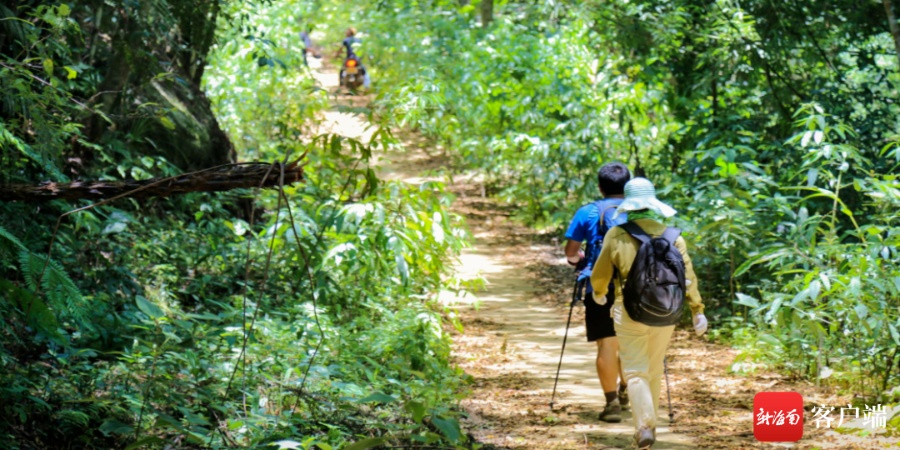 保亭将打造首条热带雨林景观国家登山健身步道