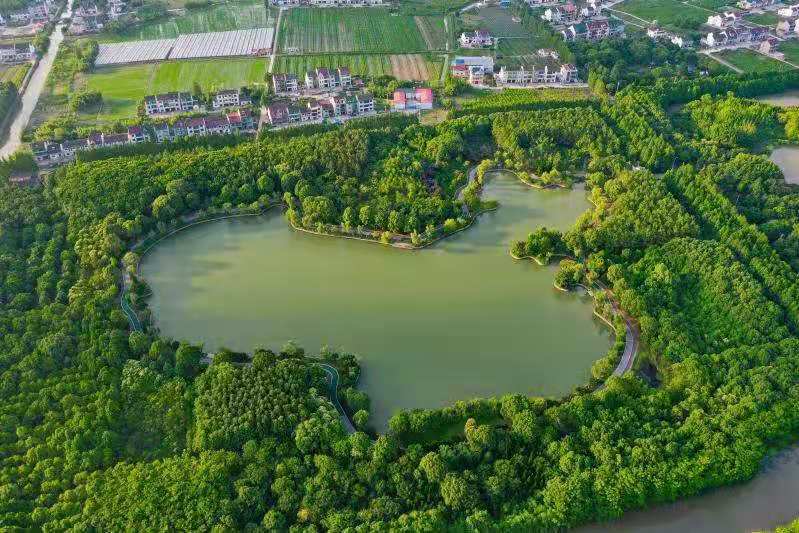 做强“农”头企业 金山区成功创建上海首家国家现代农业产业园