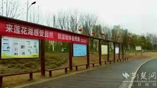 阳新县开展第25个“世界湿地日”活动  累计斥资逾4亿元迁污拆违复绿