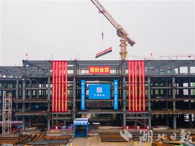 “硬技术”提速施工节奏 武汉蔡甸综合服务中心大楼提前封顶