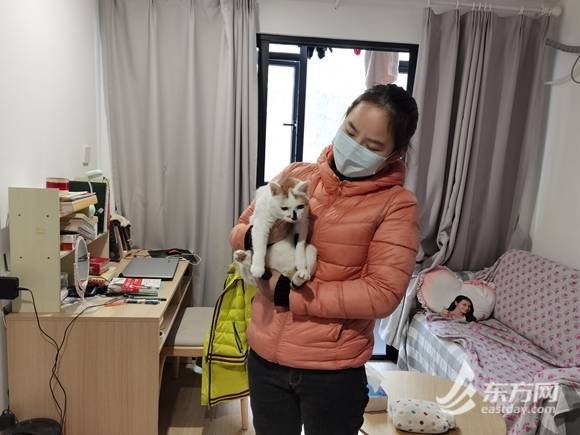 单身姑娘在上海青年公寓过年：有我的猫陪伴，很舒服