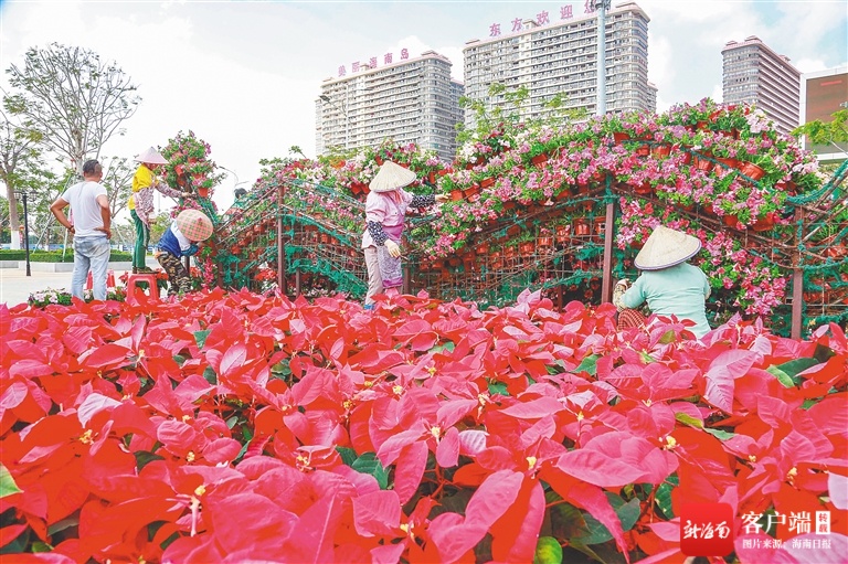东方营造喜庆节日氛围 逾20万盆鲜花扮靓城区