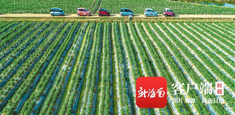 2020年度海南省新能源汽车奖励什么时候到账？ 官方回复来了