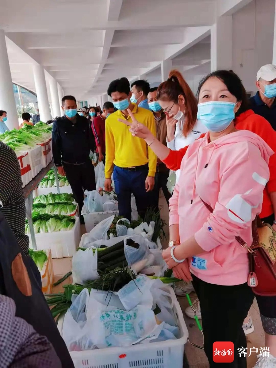 三亚全力保障春节“菜篮子” 每天调运蔬菜60吨投放市场