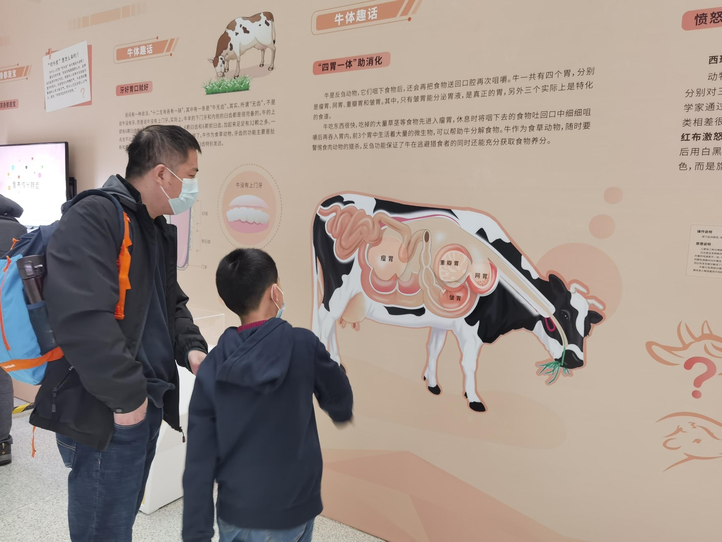 中国科技馆：“牛年话牛”展最热，科幻“三体”展最过瘾
