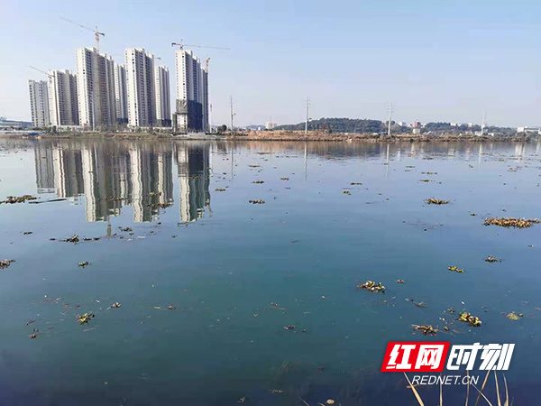 春节的坚守｜永州城管快速处置湘江河面漂浮物 切实保障供水安全