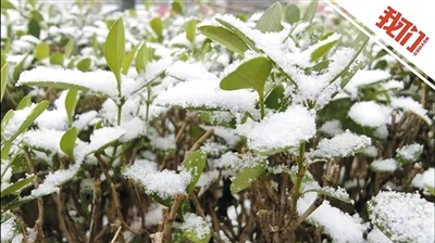 23日气温骤降 北京多区“春雪”现身