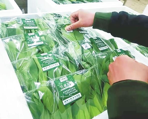 云南9种小包装蔬菜“上线”孔雀码平台