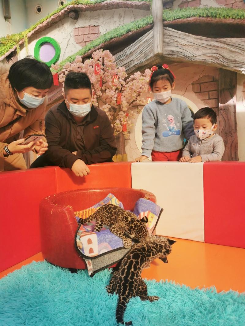被萌到了！北京野生动物园一批新生小动物扎堆儿亮相