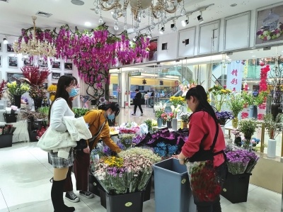 三八节将至 郑州市场的康乃馨、玫瑰价格大幅上涨
