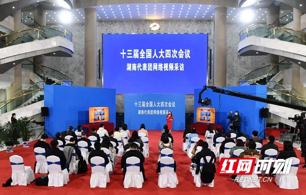 快讯丨湖南代表团举行首场网络视频采访 6位代表“云上见”
