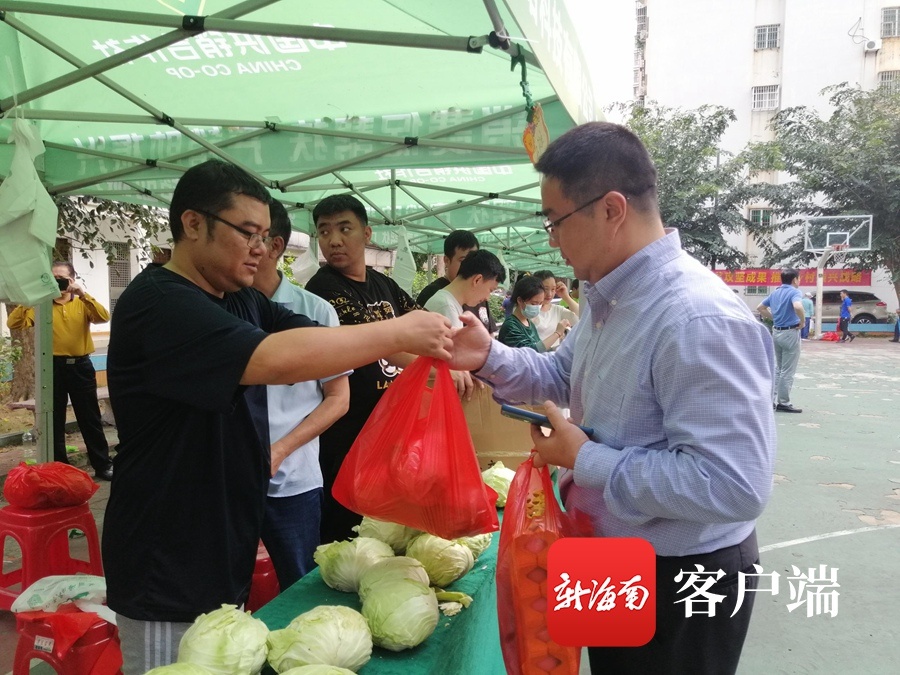 2000斤包菜一个半小时卖光 海南“消费助农大集市”搭平台助销农产品