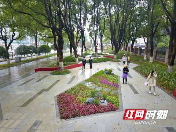 湖南城市园林绿化“成绩单”出炉  16个城市已迈入“国家队”