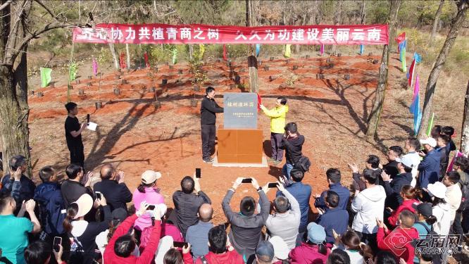 云南省青年企业家商会开展植树造林暨主题党日活动