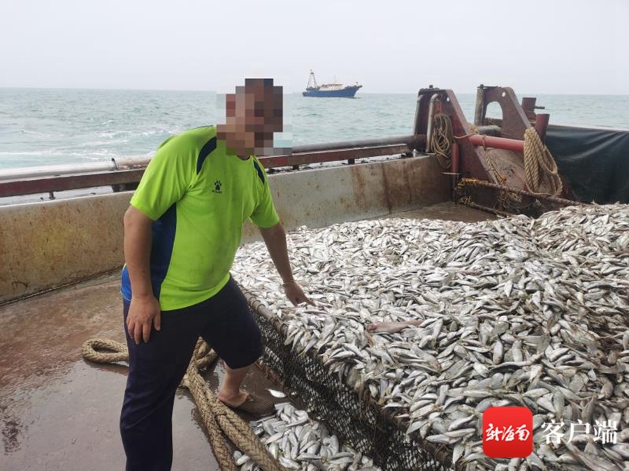 儋州海警查处4起涉嫌非法捕捞水产品案