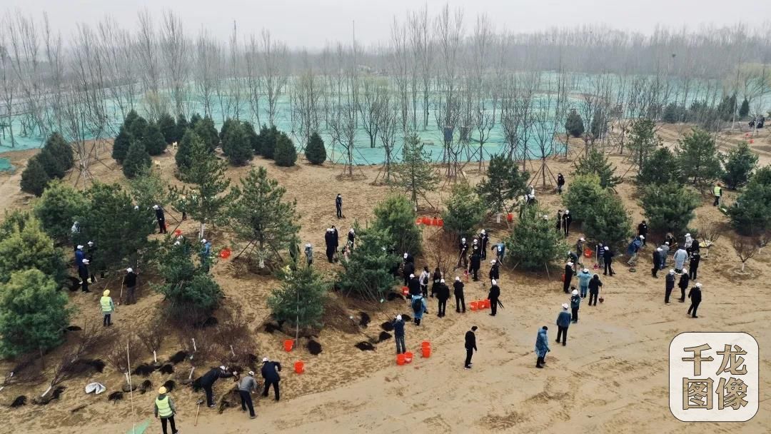 不负春光，播种希望！国家林草局到北京朝阳开展义务植树活动